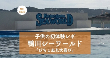 満ちてくる心の宿 吉夢 年9月宿泊 子連れ旅行ブログ公開 Yunko Blog