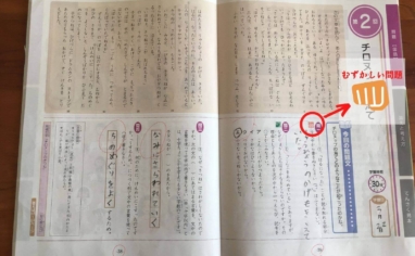 Z会小学生は難しい 3年男子のお試し教材体験を正直口コミ 3週間かかった Yunko Blog